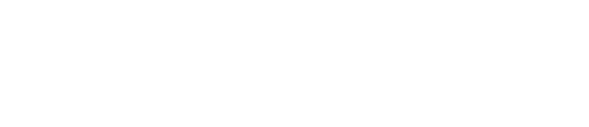 솔루션 구조대 로고